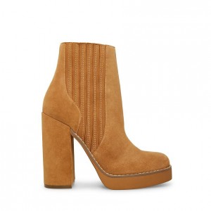 Botines Steve Madden Joline Mujer Marrom | 5612740-OS