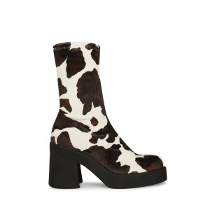 Botines Steve Madden Klayton Brown Mujer Marrom | 7364025-IS