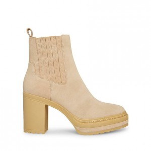 Botines Steve Madden Lenny Mujer Marrom | 4823796-FE