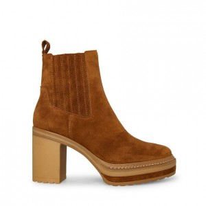 Botines Steve Madden Lenny Mujer Marrom | 6042891-ZN