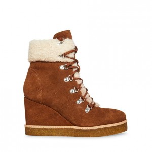 Botines Steve Madden Marcel Mujer Marrom | 5283061-MW