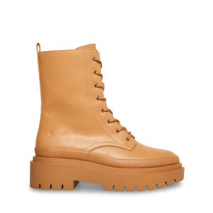 Botines Steve Madden Mosss Mujer Marrom | 2149570-XW