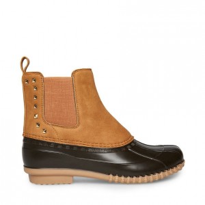 Botines Steve Madden Newlin Mujer Marrom | 2780163-VD