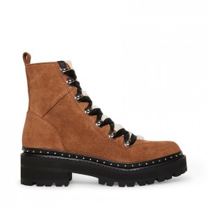 Botines Steve Madden Rainier Mujer Marrom | 5096847-RU