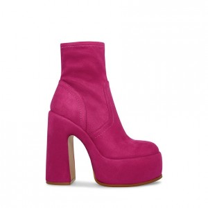 Botines Steve Madden Stassie Mujer Rosas | 7865914-QT