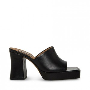 Mulas Steve Madden Alex Mujer Negros | 3275986-EU