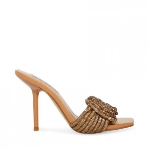 Mulas Steve Madden Applaud Square Toe Mule Mujer Marrom | 7024159-PX