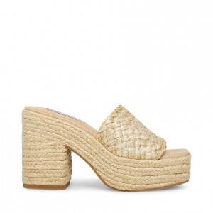 Mulas Steve Madden Atlantic Mujer Negros | 8473295-MX
