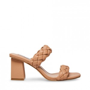 Mulas Steve Madden Banks Braided Square Toe Mujer Marrom | 1389456-TM