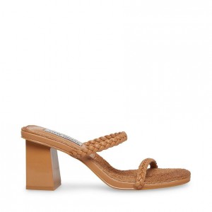 Mulas Steve Madden Bora Mujer Marrom | 1063594-OI