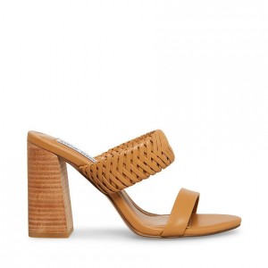 Mulas Steve Madden Cathy Mujer Marrom | 1403695-QO