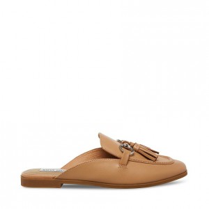 Mulas Steve Madden Cayler Mule Mujer Marrom | 5214309-ET
