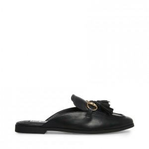 Mulas Steve Madden Cayler Mule Mujer Negros | 5830614-DV