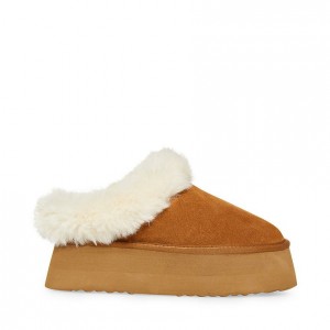 Mulas Steve Madden Chaplin Mujer Marrom | 1069527-ZR