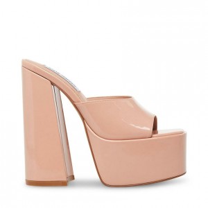 Mulas Steve Madden Clarity Mujer Rosas | 4569128-BW
