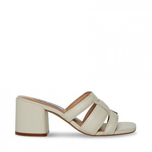 Mulas Steve Madden Clover Square Toe Mule Block Mujer Blancos | 8291657-PE