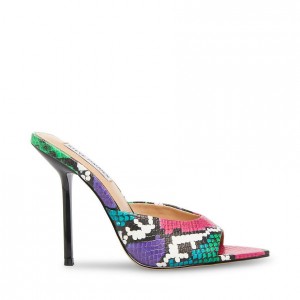 Mulas Steve Madden Dainty Mule Mujer Multicolor Serpent | 7568024-OV