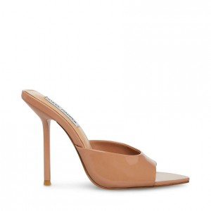 Mulas Steve Madden Dainty Mule Mujer Rosas | 3275018-FE