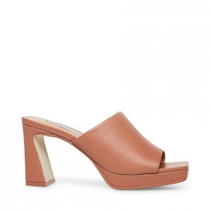 Mulas Steve Madden Dedicate Mujer Rosas | 8643017-GB