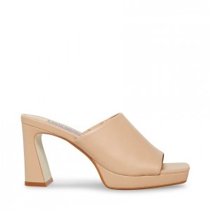 Mulas Steve Madden Desire Mujer Rosas | 8429713-HQ