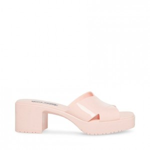 Mulas Steve Madden Harley Square Toe Mujer Rosas | 5491680-DQ
