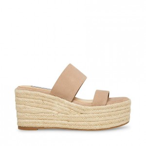 Mulas Steve Madden Jane Espadrille Mujer Grises Marrom | 5192834-EG