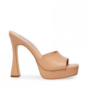 Mulas Steve Madden Jessica Mujer Rosas | 6731089-PY