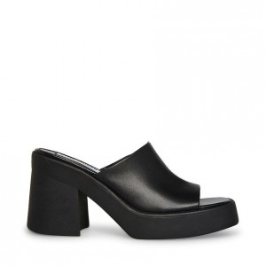 Mulas Steve Madden Kane Mujer Negros | 0268175-QS