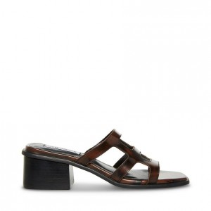 Mulas Steve Madden Princess Block Mujer Marrom | 4769203-RU
