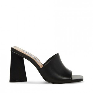 Mulas Steve Madden Ronnie Square Toe Mule Mujer Negros | 3724985-YD