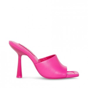 Mulas Steve Madden Selene Square Toe Mule Mujer Rosas | 0954861-SA