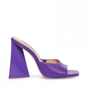Mulas Steve Madden Twists Mujer Morados | 6497135-IS