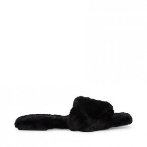 Pantuflas Steve Madden Dreams Mujer Negros | 0798563-YN