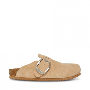 Pantuflas Steve Madden Social Slip On Mujer Marrom | 3902814-UI