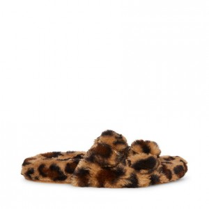 Pantuflas Steve Madden Staycation Mujer Leopardo | 7485031-PS