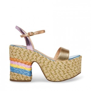 Platform Steve Madden Andrea Espadrille Mujer Multicolor | 8290516-TY