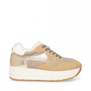 Platform Steve Madden Clay Low Top Mujer Marrom Multicolor | 4201938-BG