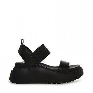 Platform Steve Madden Cruise Mujer Negros | 8741593-EI