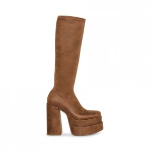 Platform Steve Madden Cypress Distressed Mujer Marrom | 8907432-SK