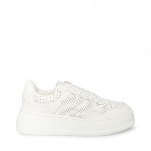 Platform Steve Madden Daley Mujer Blancos | 4905713-MK