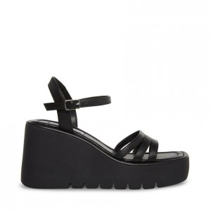 Platform Steve Madden Dane Mujer Negros | 6123480-UM