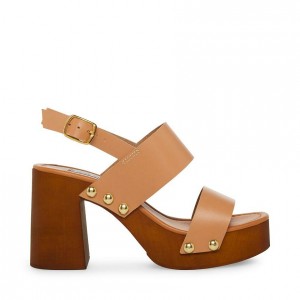 Platform Steve Madden Dottie Block Mujer Rosas | 1532784-JP