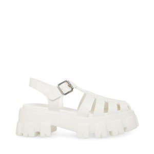 Platform Steve Madden Echo Mujer Blancos | 3580672-BS