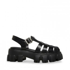 Platform Steve Madden Echo Mujer Negros | 5621983-NR