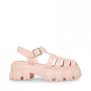 Platform Steve Madden Echo Mujer Rosas | 2789456-HR
