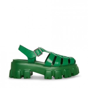 Platform Steve Madden Echo Mujer Verdes | 8642709-PR