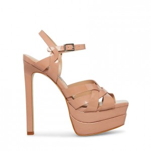 Platform Steve Madden Flirt Mujer Rosas | 4269075-KB