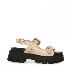 Platform Steve Madden Garrick Lug Sole Mujer Kaki | 5247180-EZ