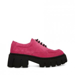 Platform Steve Madden Hadley Lug Sole Mujer Rosas | 2907416-GU