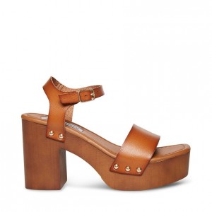 Platform Steve Madden Ivy Mujer Marrom | 8239465-IA
